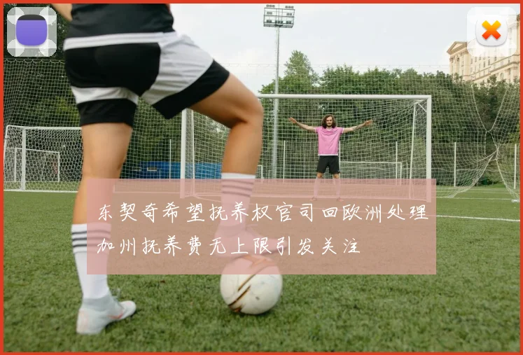 东契奇希望抚养权官司回欧洲处理加州抚养费无上限引发关注
